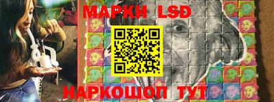 дживик Гай
