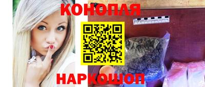 дживик Гай