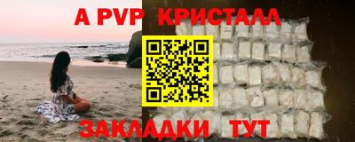 дживик Гай
