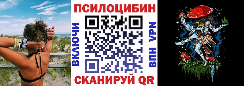 купить   Новоалтайск  blacksprut tor  Псилоцибиновые грибы Cubensis 