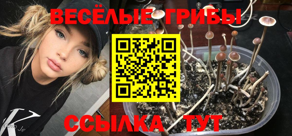 Новоалтайск  наркошоп  Псилоцибиновые грибы ЛСД  Вход с VPN  Галлюциногенные грибы Cubensis 