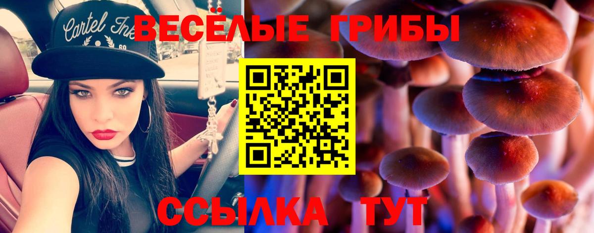 Псилоцибиновые грибы ЛСД Новоалтайск