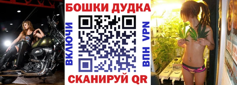 где купить наркоту  shop формула  Каннабис индика  Новоалтайск 